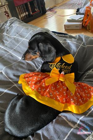 Original 2000 px/ 3000 px