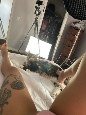 Original 1536 px/ 2048 px