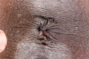 Original 3000 px/ 1999 px